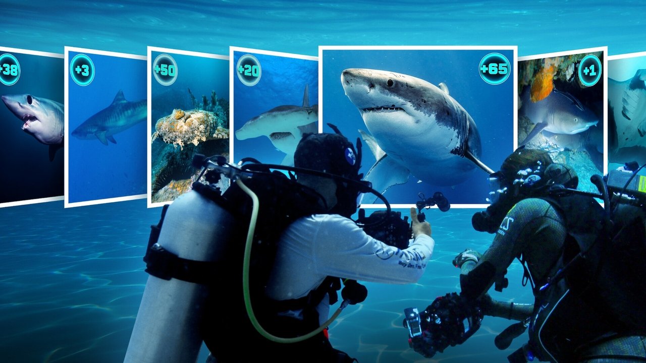 All the Sharks 1. Sezon 6. Bölüm izle