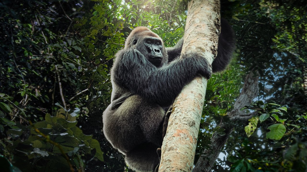 Big Beasts 1. Sezon 10. Bölüm izle