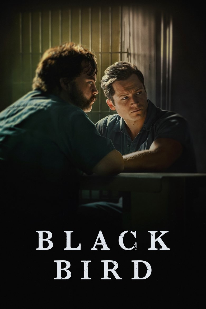 Black Bird dizi izle