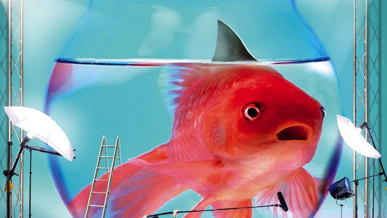 Boris 4. Sezon 8. Bölüm izle