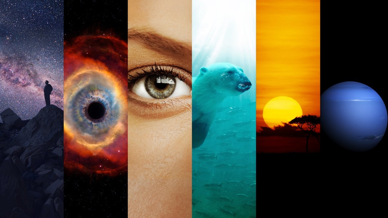 Cosmos 1. Sezon 1. Bölüm izle