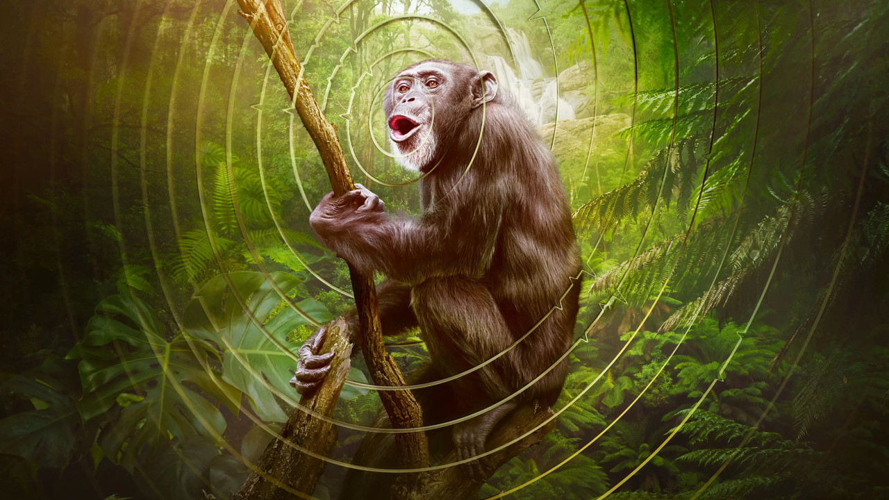 Earthsounds 1. Sezon 10. Bölüm izle