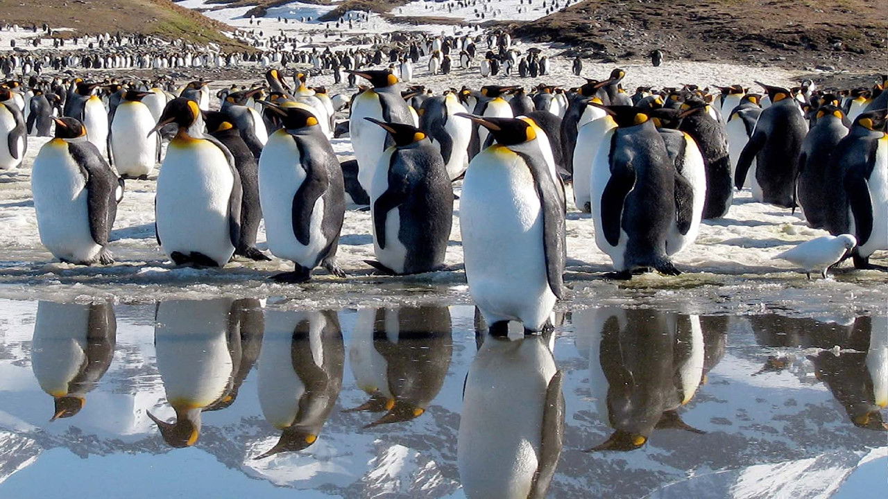 Life 1. Sezon 11. Bölüm izle