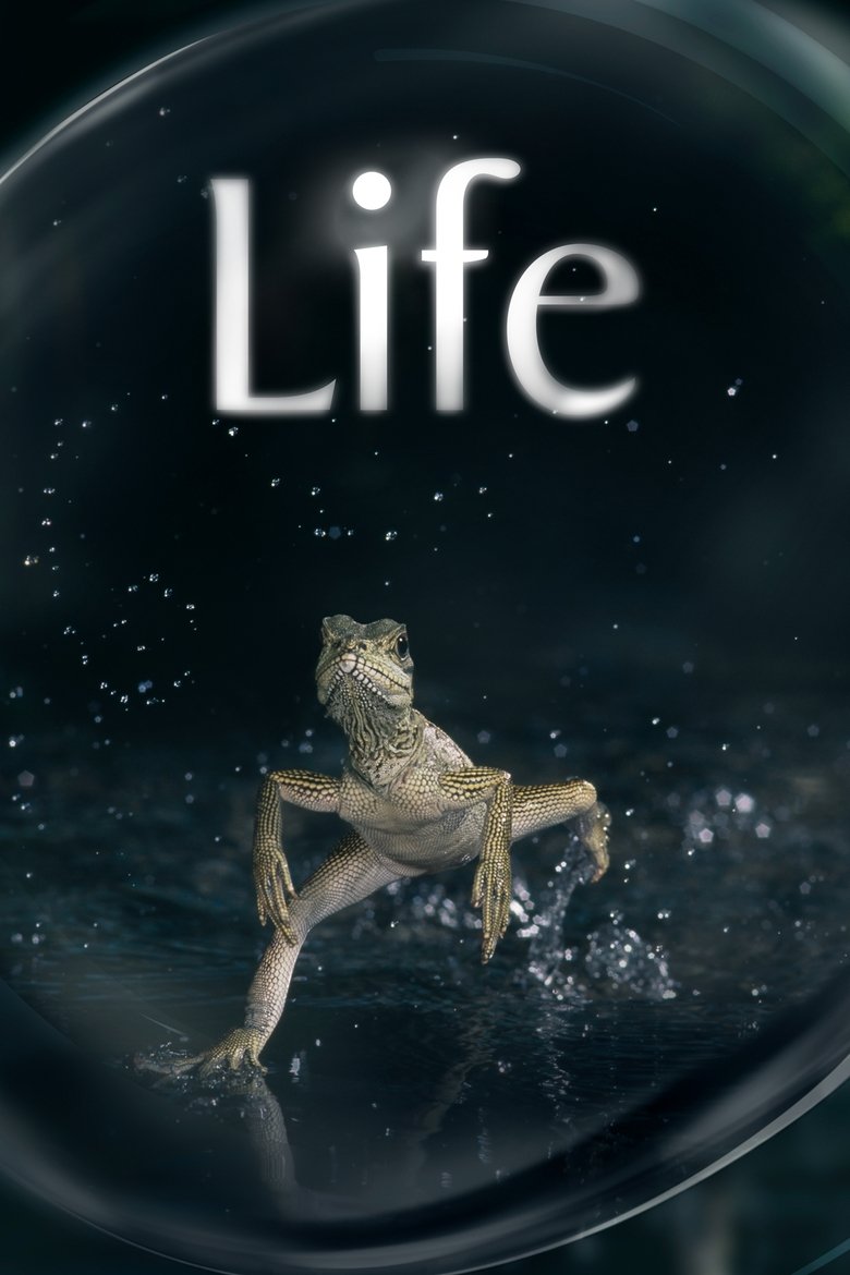 Life dizi izle
