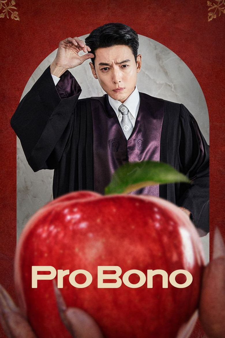 Pro Bono dizi izle