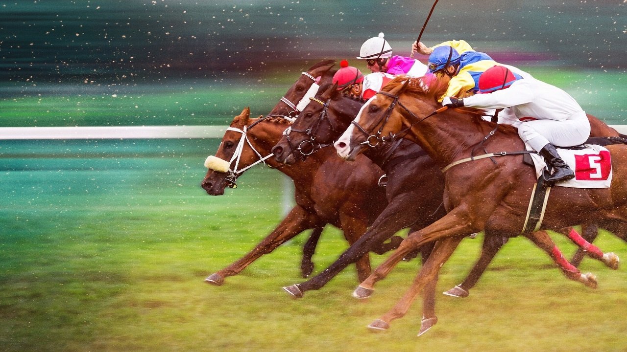 Race for the Crown 1. Sezon 6. Bölüm izle