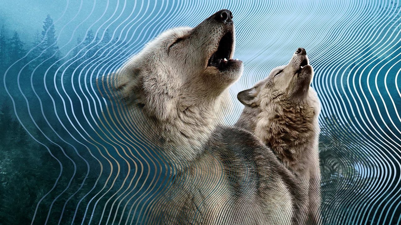 Secret World of Sound 1. Sezon 3. Bölüm izle