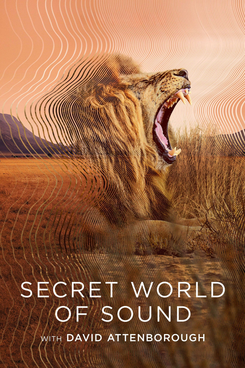 Secret World of Sound dizi izle