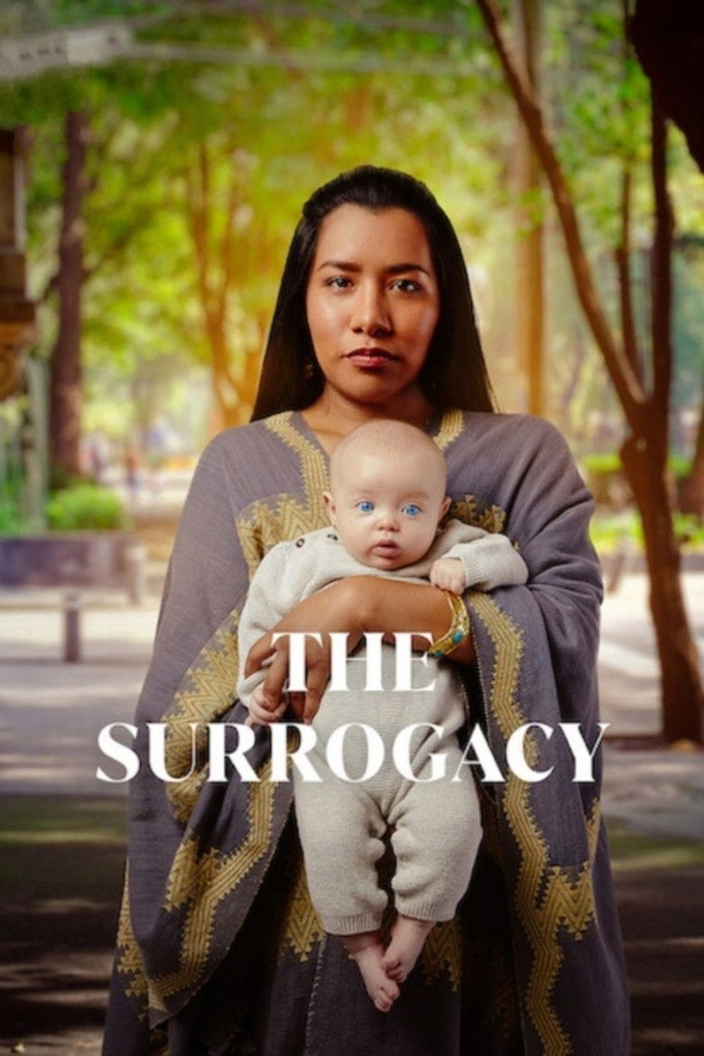 The Surrogacy dizi izle