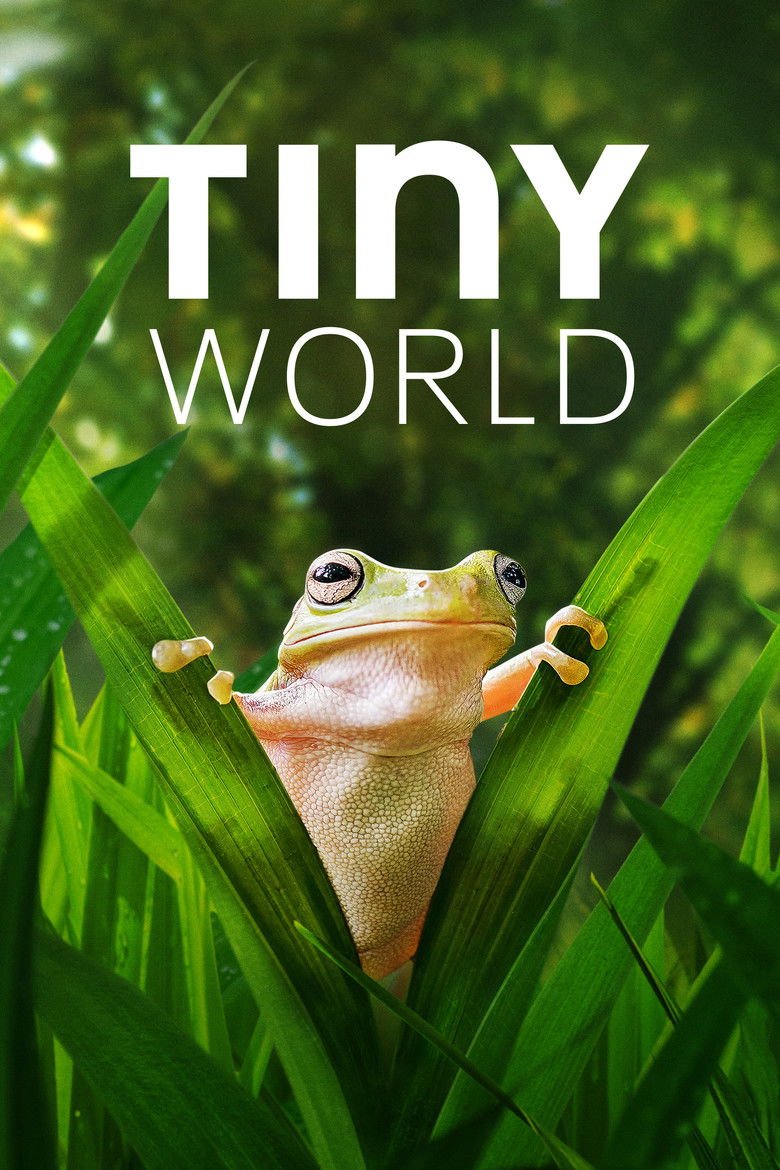 Tiny World dizi izle