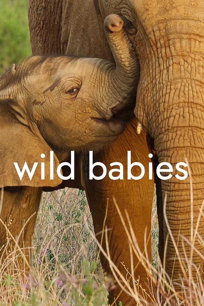 Wild Babies dizi izle